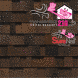 Бітумна черепиця Owens Corning DURATION&reg; AR 879237905 фото 1